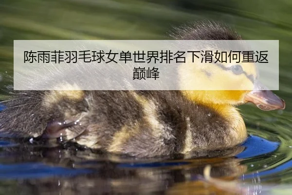陈雨菲羽毛球女单世界排名下滑如何重返巅峰